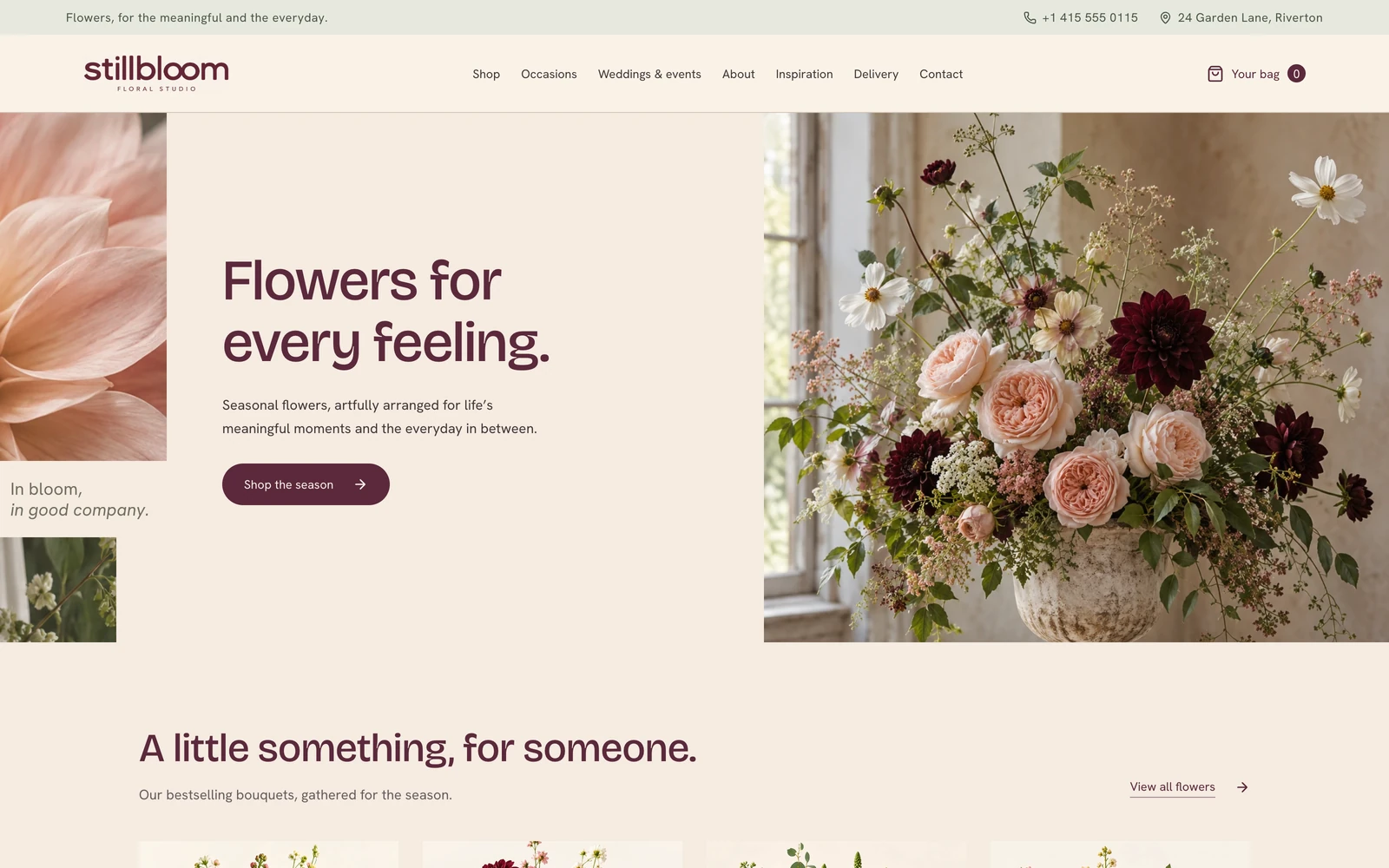 Stillbloom project thumbnail